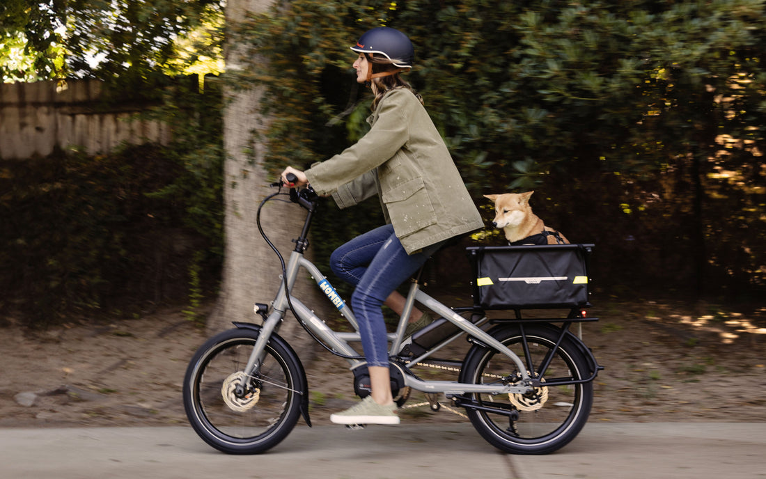 Shared Space? Extra Grace: Navigating Overnight Storage with Wombi