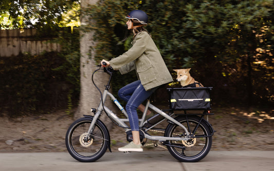 Shared Space? Extra Grace: Navigating Overnight Storage with Wombi