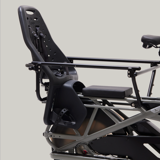 Thule Yepp Seat